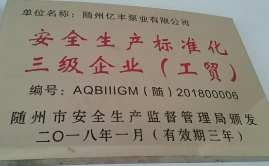 熱烈祝賀隨州億豐泵業(yè)有限 公司獲安全標(biāo)準(zhǔn)化三級(jí)企業(yè)復(fù)審?fù)ㄟ^
